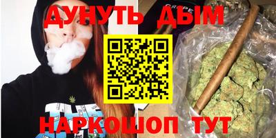 крисы Северобайкальск